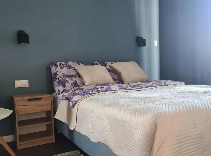 Venice Apartment, Self Check-in 24h, Free Parking 波兹南